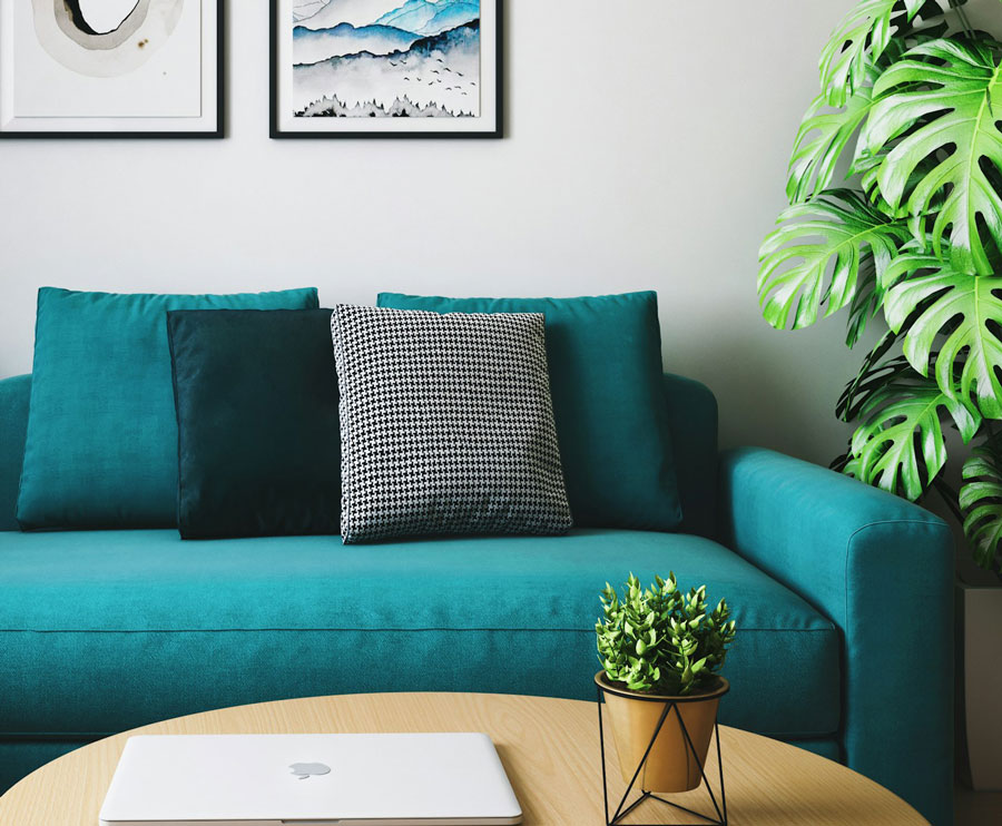 couch to sit on in clinical psychologist's office